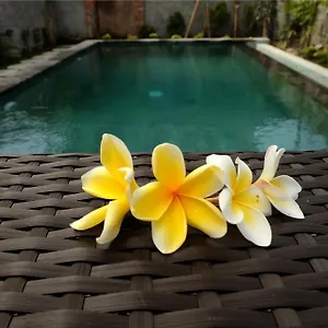 Гостевой дом Eka Bali